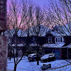 Meet your Posher, Maddy